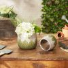 Cement Flower Pot Set - Green Leaves