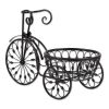 Iron Tricycle Plant Stand