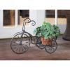 Iron Tricycle Plant Stand