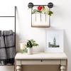 Industrial Look Wall-Shelf with Test Tube Vases