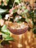 Napping Kitten on Hammock Hanging Figurine