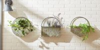 Geometric Diamond Galvanized Metal Wall Planter