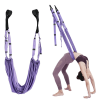 Adjustable Aerial Yoga Strap; Elastic Stretch Door Hanging Yoga Belts Hammock Swing Fitness Handstand Rope Training Device For Women - Green