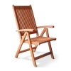 Malibu Outdoor 5-Position Reclining Chair - as Pic