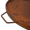 Fire Pit 35.8"x32.1"x15.7" Steel - Brown