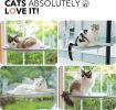 Cat Window Perch Foldable Hammock with Steel Frame and Strong Suction Cup Mount - light grey