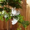 Climbing Cuties - Chip the Squirrel